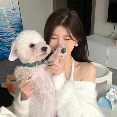 龙牌之谜
